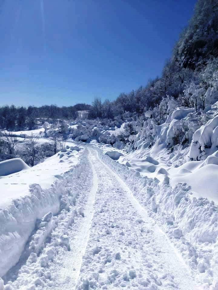 Village Mukhura Cut Off From The World Because of Snow geotv.ge